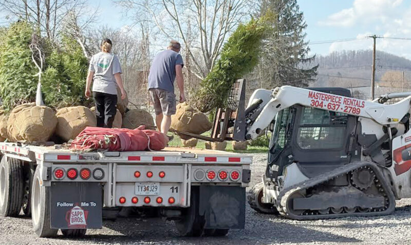 Making a Trees Delivery - The Intermountain